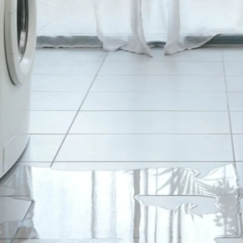 Appliance Leak Cleanup in Hancock County, IN