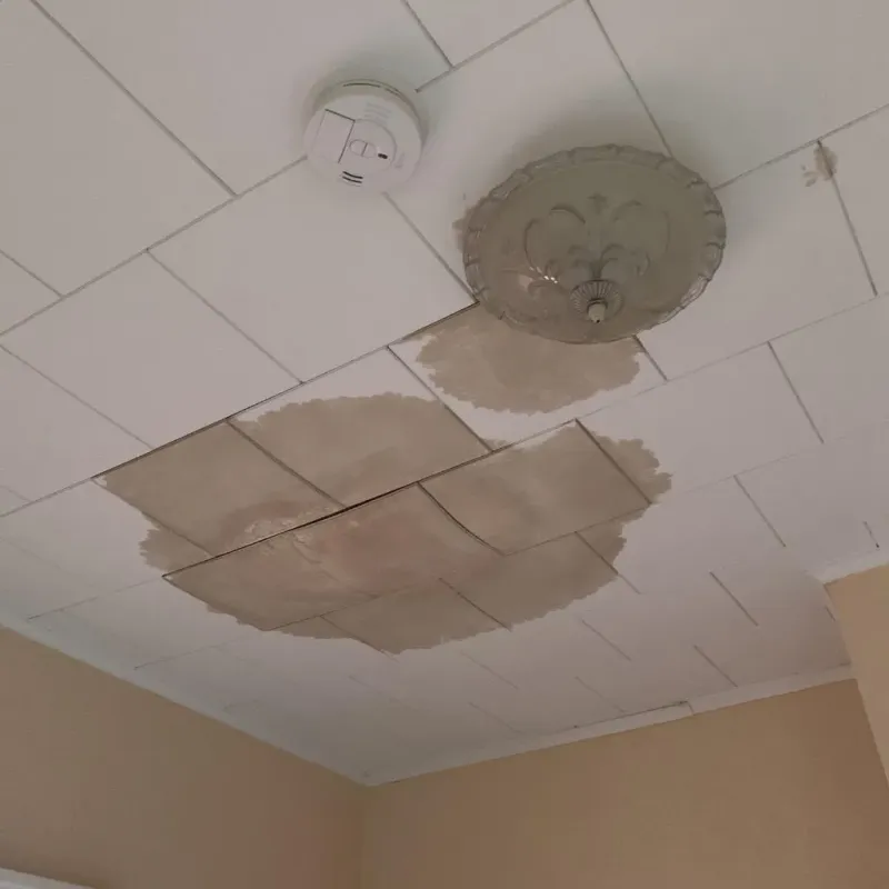 Ceiling Water Damage Repair in Hancock County, IN
