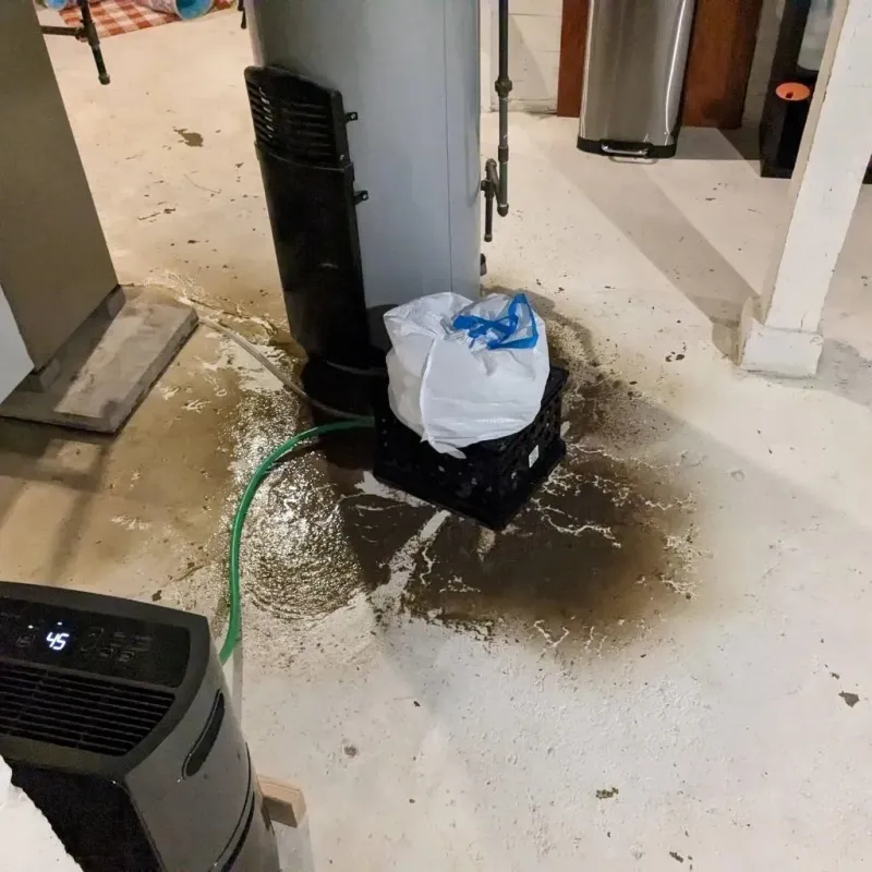 Sewage Backup Cleanup Service in Hancock County, IN